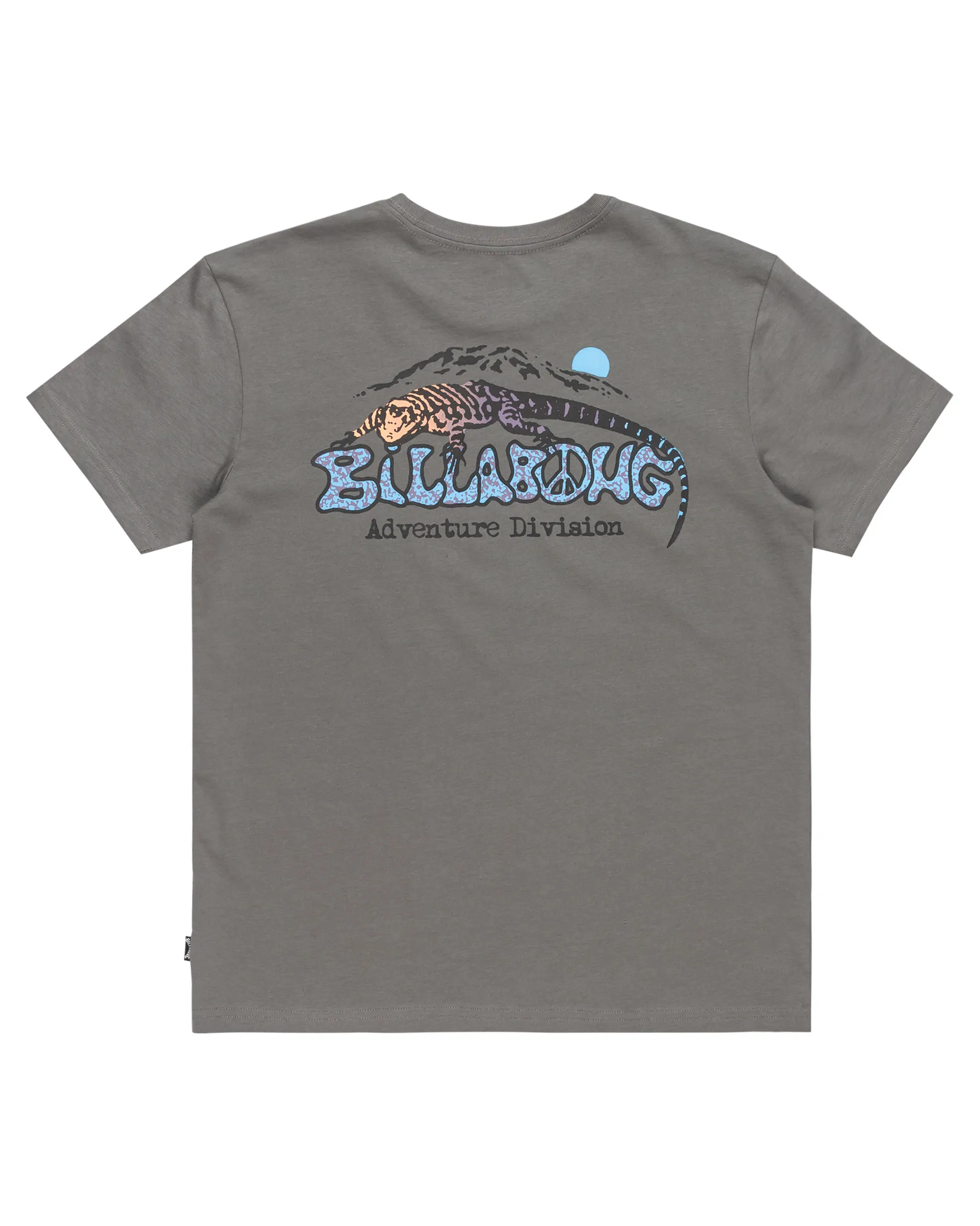 Boys Lizard Mountain T-Shirt in Slate Grey