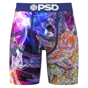 PSD Men's Multicolor Prism Strain Boxer Briefs Large Underwear - 324180071-MUL-L