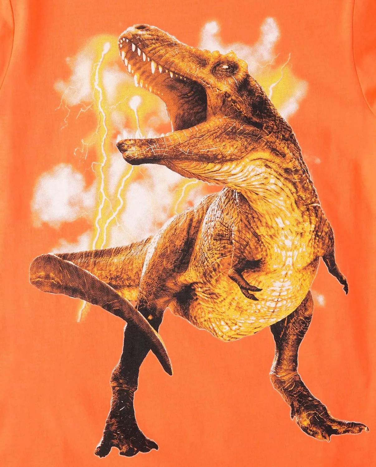 The Children's Place Boys' Dino Long Sleeve Graphic T-Shirts,multipacks