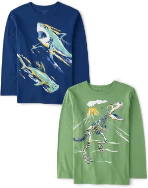 The Children's Place Boys' Dino Long Sleeve Graphic T-Shirts,multipacks