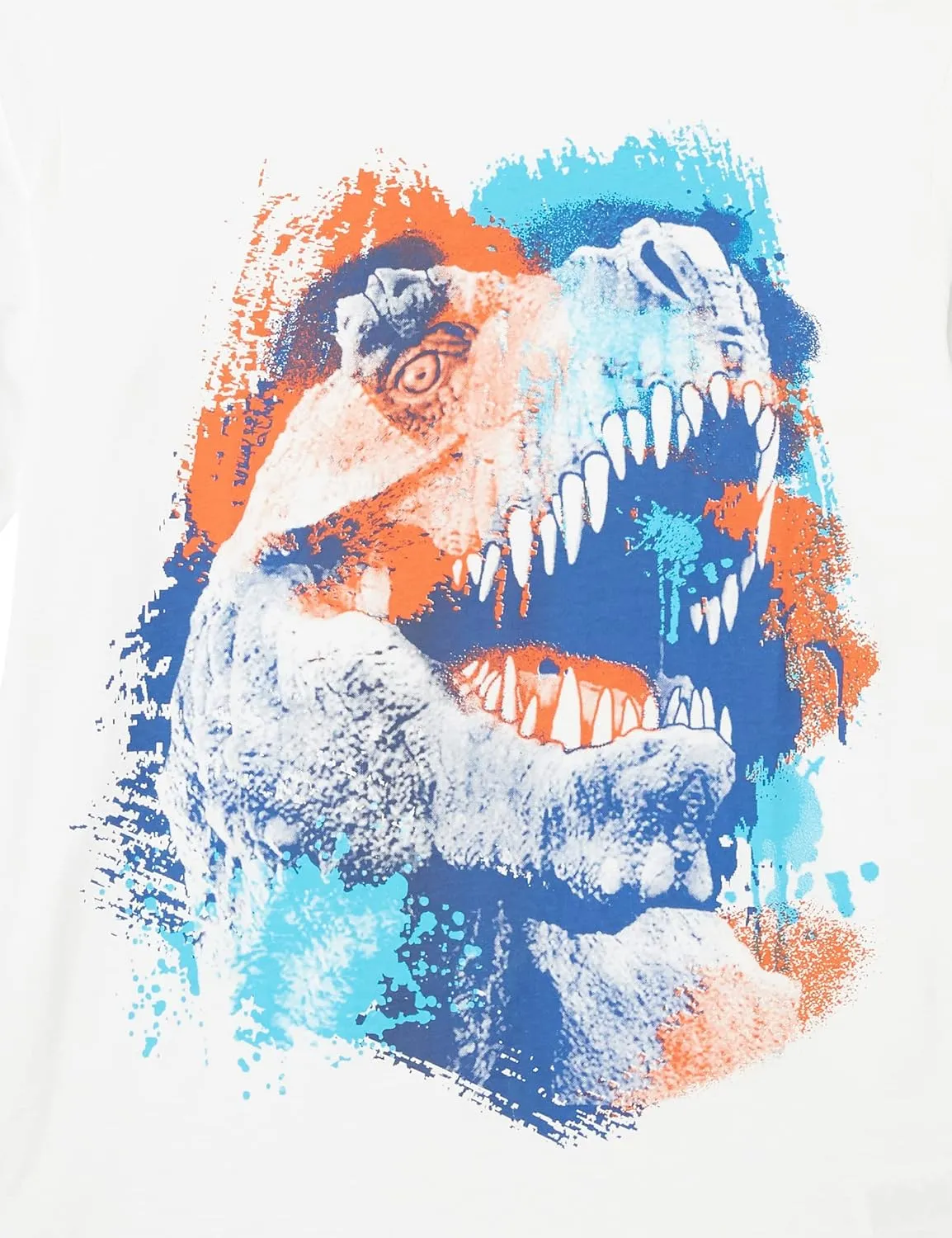 The Children's Place Boys' Dino Long Sleeve Graphic T-Shirts,multipacks