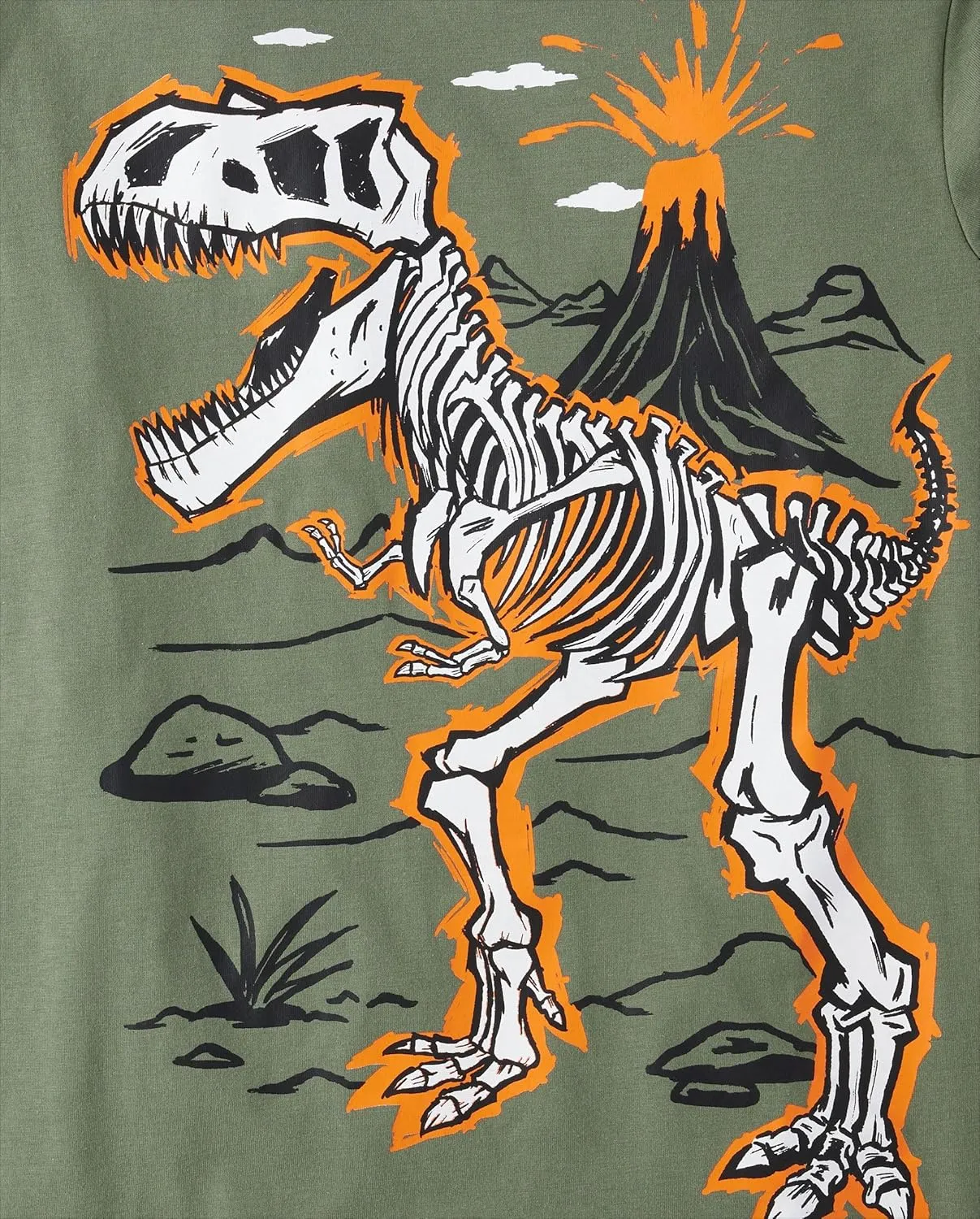 The Children's Place Boys' Dino Long Sleeve Graphic T-Shirts,multipacks